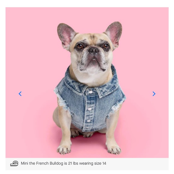 BARBIE x CANADA POOCH DENIM VEST - Picture 4 of 10